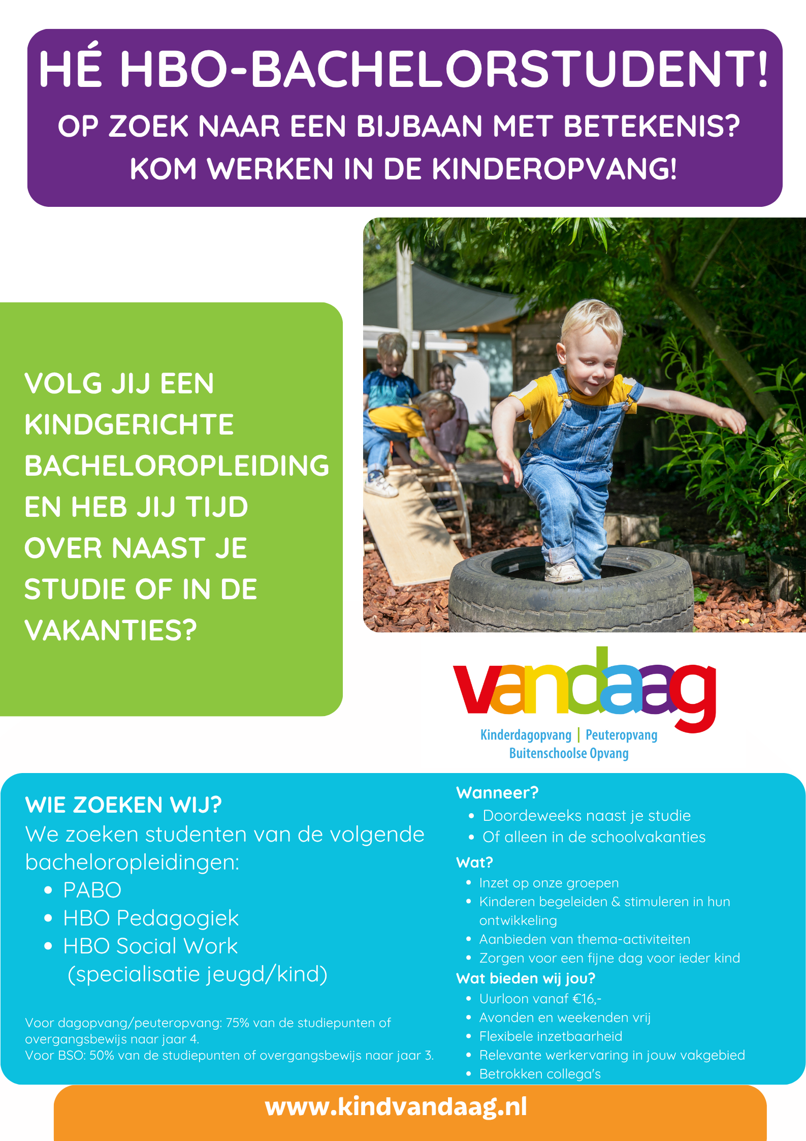 hbo bachelor student